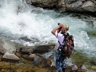 Similar image 459560