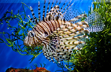 Similar image 459567