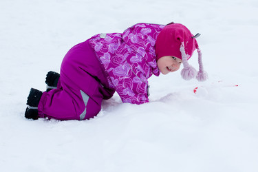 Similar image 459607