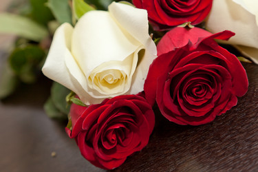 Similar image 459623