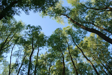 Similar image 459669