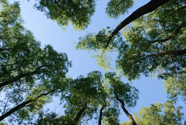 Similar image 459670