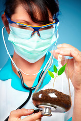 Similar image 459678