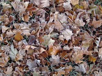 Similar image 459681