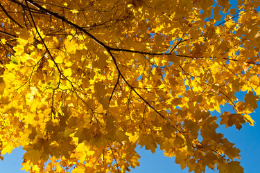 Similar image 459689