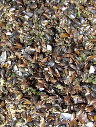 Similar image 459697