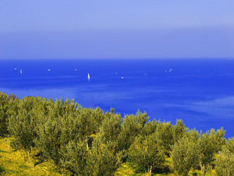 Similar image 459721