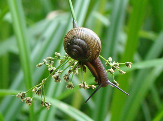 Similar image 459724