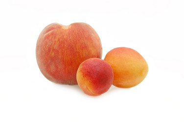 Similar image 459728