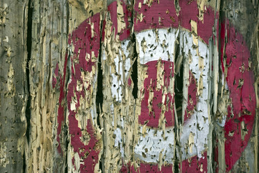 Similar image 459741