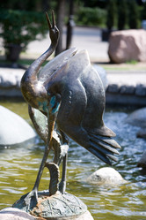 Similar image 459742