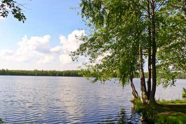 Similar image 459818