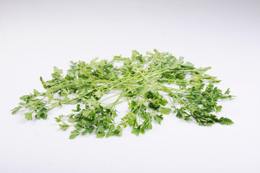 Similar image 459823