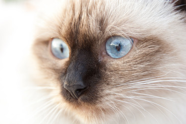 Similar image 459825