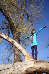 Similar image 459827