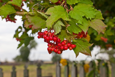 Similar image 459829