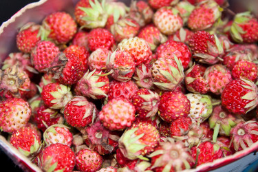 Similar image 459831