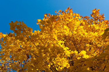 Similar image 459834