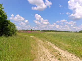 Similar image 459837