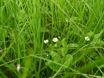 Similar image 459840