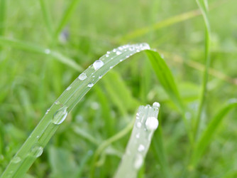 Similar image 459842