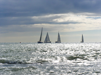 Similar image 459849