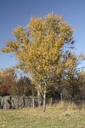 Similar image 459852