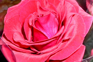 Similar image 459857