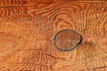 Similar image 459897