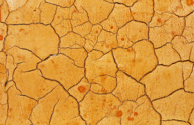 Similar image 459913