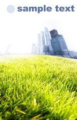 Similar image 460001