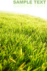 Similar image 460004