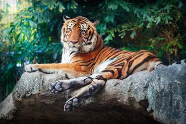 Similar image 460035