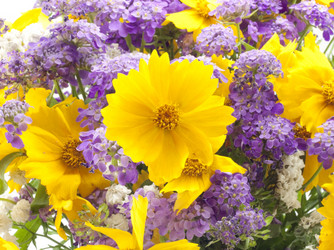 Similar image 460079