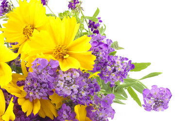 Similar image 460086