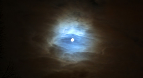 Similar image 460243