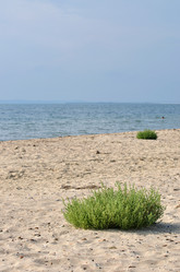 Similar image 460278