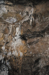 Similar image 460317