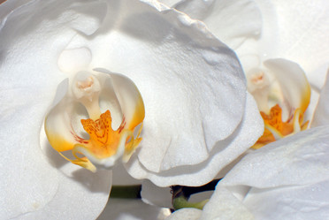 Similar image 460358