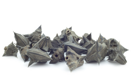 Similar image 460385