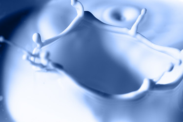 Similar image 460432