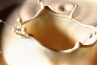 Similar image 460433