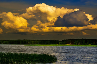 Similar image 460464