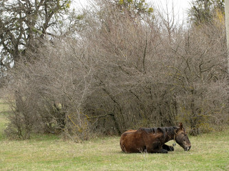 Similar image 460548