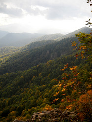 Similar image 460552