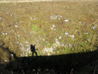 Similar image 460553