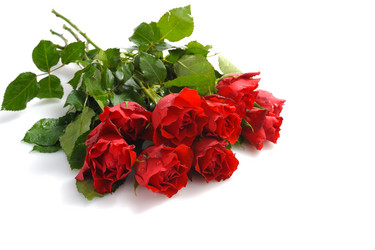 Similar image 460605