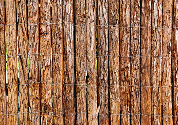 Similar image 460900