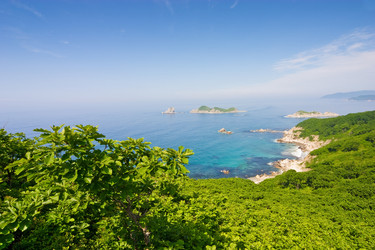 Similar image 460921