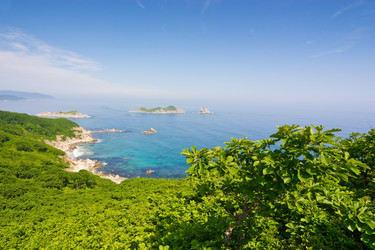 Similar image 460924